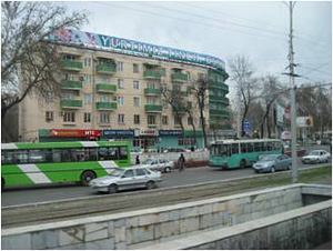 �^�V�P���g�̒�